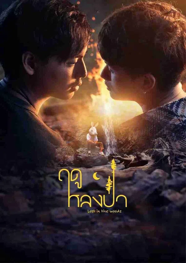 Mùa Lạc Trong Rừng